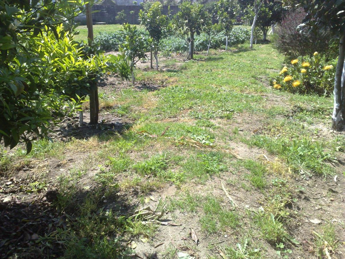 Room Villa Ribeiro Pilgrims Way To Santiago Bike A Garage For Marinhas 埃斯波森迪 外观 照片